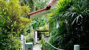Ein Weg, der durch einen üppigen Garten mit verschiedenen tropischen Pflanzen und einer Metallkonstruktion führt.
