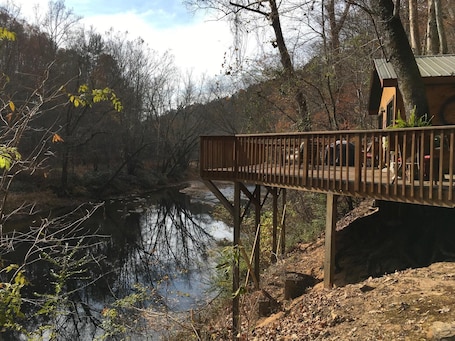 Property grounds. CHESTATEE RIVER CABIN is a prefect pet friendly get away close to Dahlonega