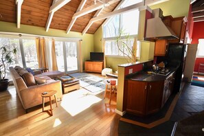 Smart TV, fireplace, DVD player, books - Perfectly located on the Mountain rd between Stowe village and Stowe Mountain (Stowe)