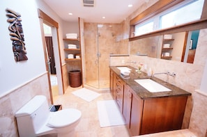 Shower, jetted tub, hair dryer, towels