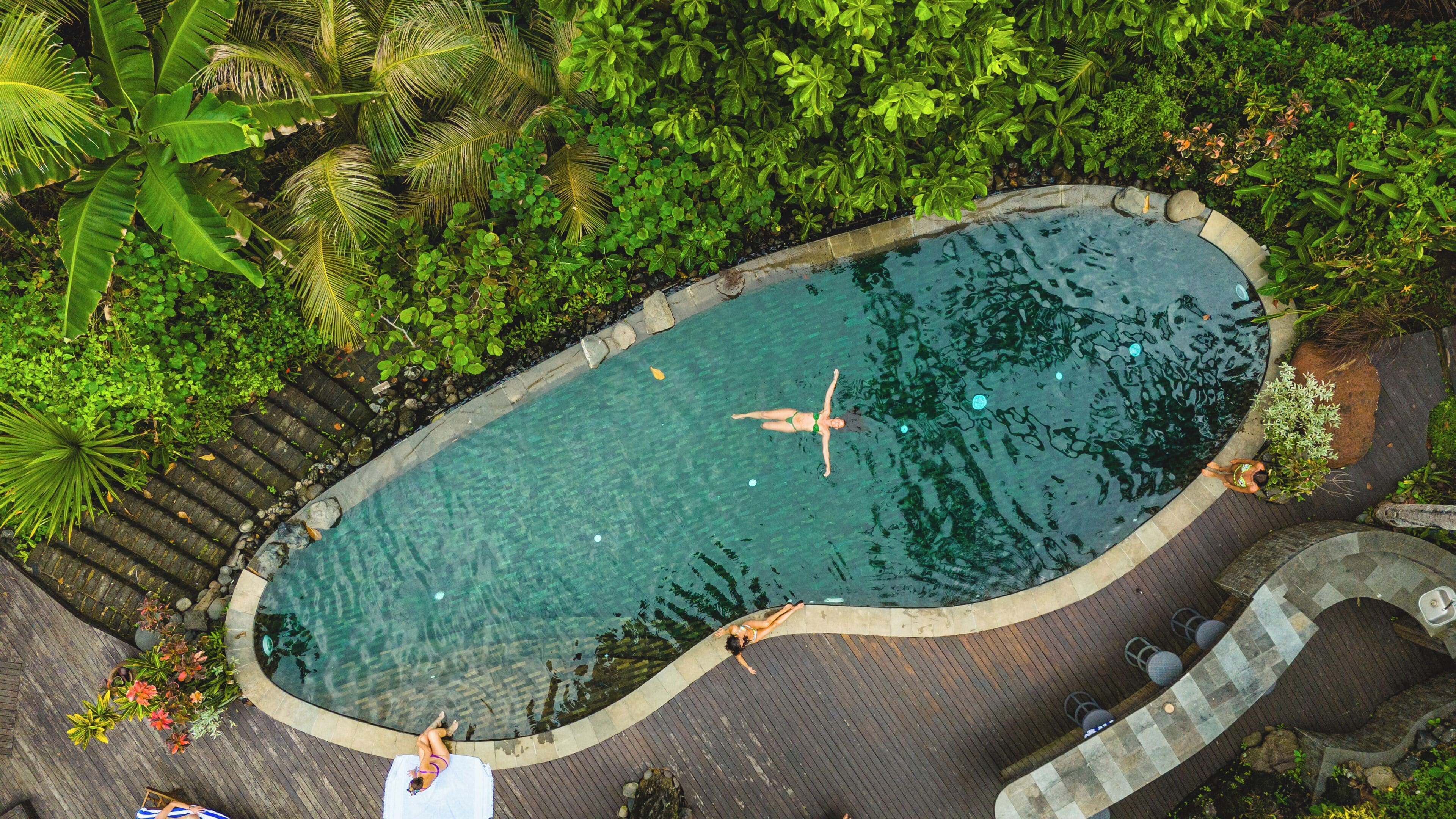 An aerial view of a swimming pool surrounded by lush greenery, with a wooden deck and a stone pathway.