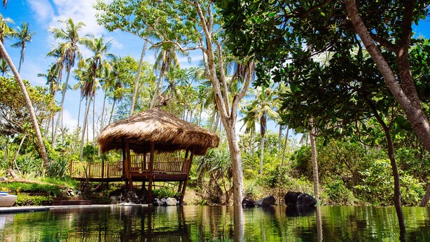 Un belvédère au toit de chaume surplombe une piscine entourée de palmiers.