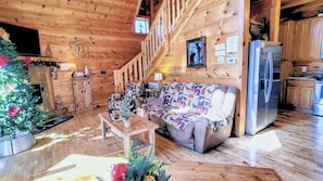 Smart TV, fireplace, books, music library