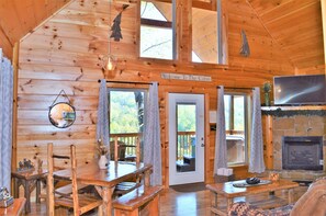 Smart TV, fireplace, books, music library