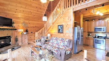 TV connectée, cheminée, livres, médiathÚque