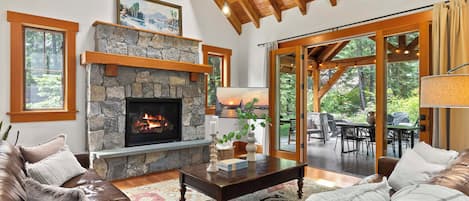 Smart TV, chimenea, reproductor de DVD y libros