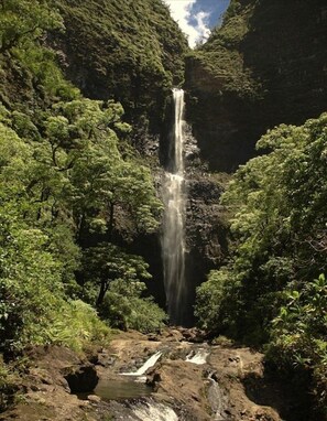 Property grounds - Nihi Kai #602 - Save 25% in Summer 2026!! (Koloa)