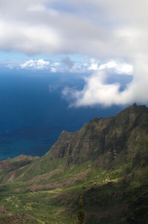 Unclassified image, 5 of 53, button - Nihi Kai #602 - Save 25% in Summer 2026!! (Koloa)