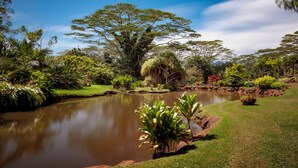 Un jardín tranquilo con un estanque, abundante vegetación y un gran árbol.