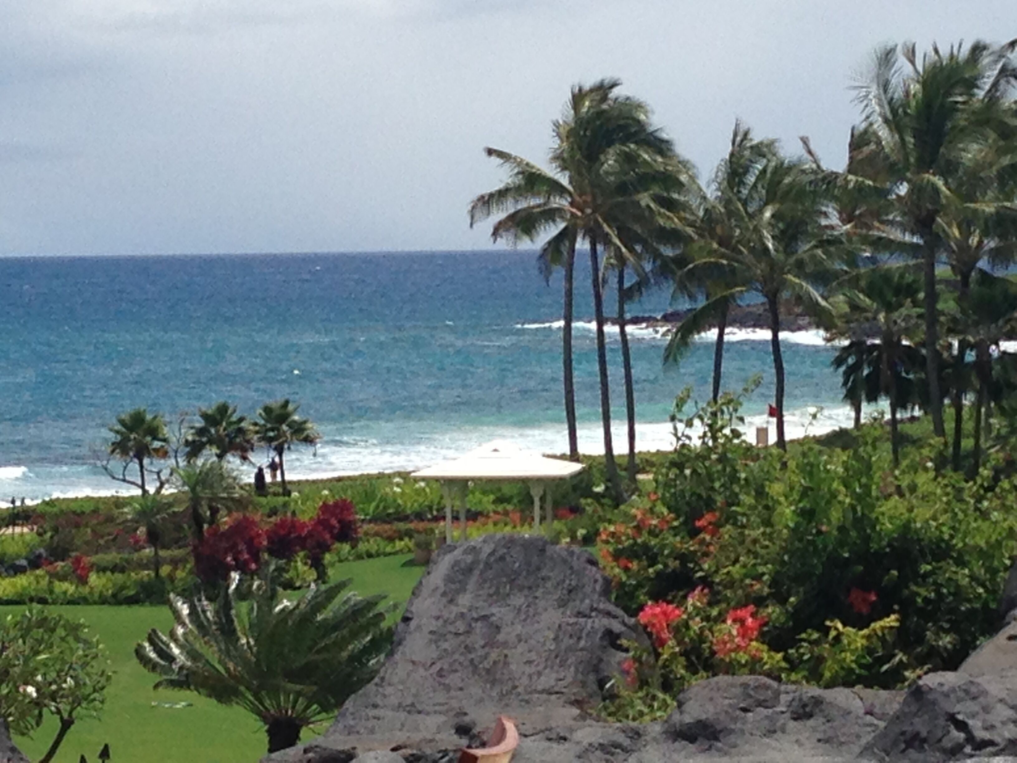 Sun loungers, beach towels