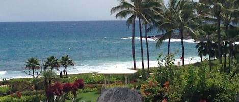 Sun loungers, beach towels