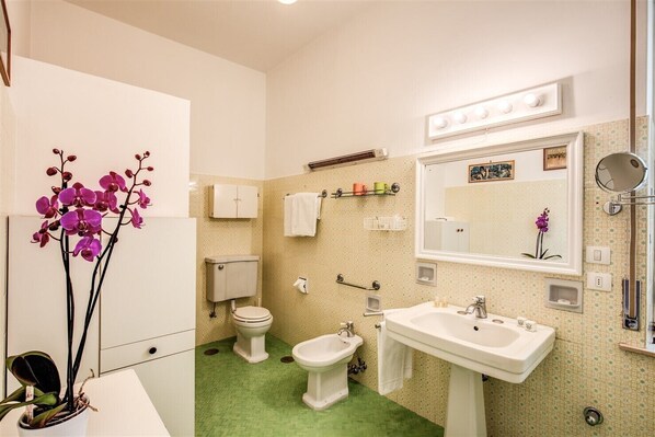 Baño con inodoro, bidé, lavabo y espejo. Hay una planta con flores púrpuras a la izquierda y un perchero sobre el inodoro.
