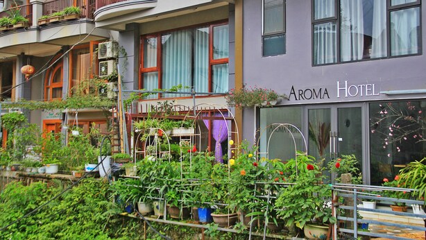 Un hotel con balcones, plantas en macetas y un letrero que dice 'Aroma Hotel'.