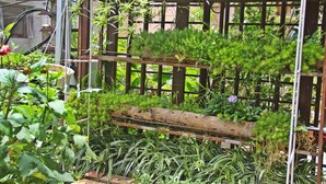 Un jardín con diversas plantas y una estructura de madera.