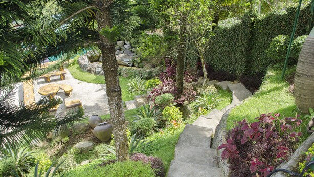 A garden with a stone staircase surrounded by various plants and trees. - Little Falls Inn (Tagaytay)