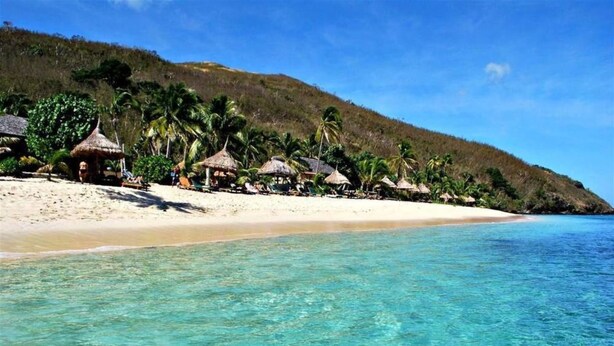 A beach with clear turquoise water, palm trees, and thatched-roof huts. - Octopus Resort (Waya Island)