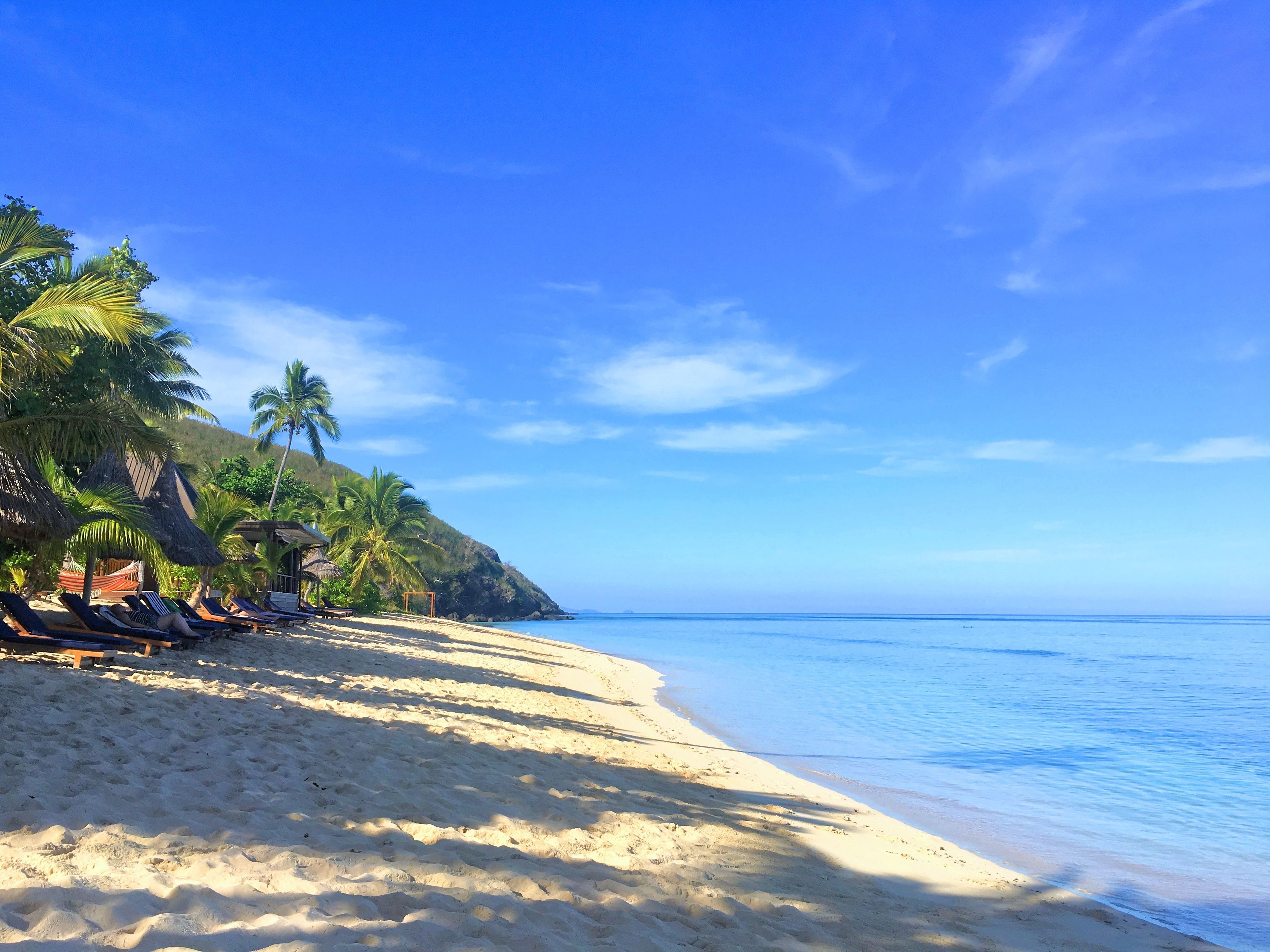 A beach with sun loungers and palm trees.