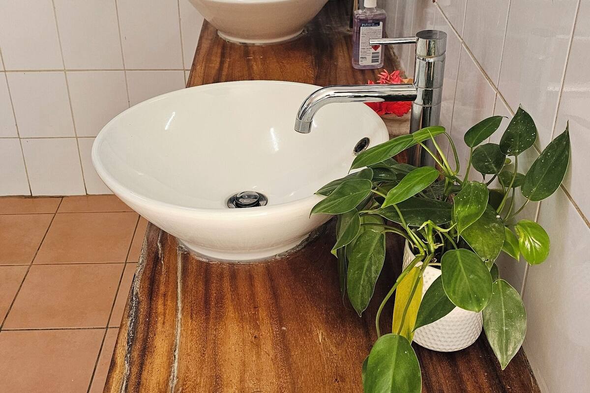 Um banheiro com duas pias, bancada de madeira e uma planta em vaso.
