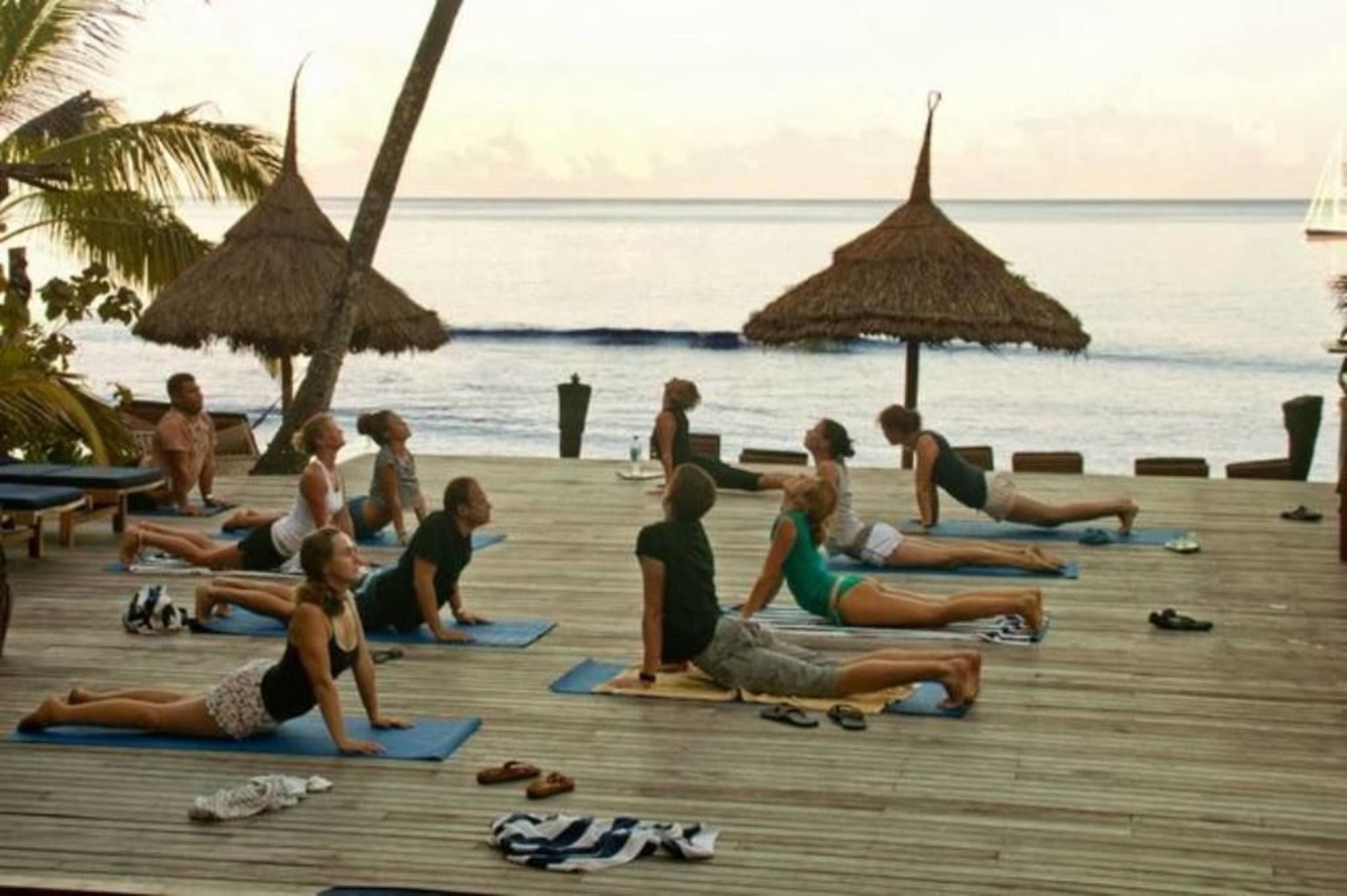 Un groupe de personnes pratiquant le yoga sur une terrasse en bois au bord de la mer, avec des parasols en chaume et des palmiers en arrière-plan.