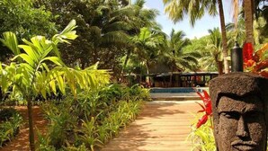 A wooden pathway flanked by lush tropical plants leading to a pool area. - Octopus Resort (Waya Island)