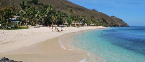 Una playa con aguas turquesas cristalinas, orilla arenosa y palmeras.