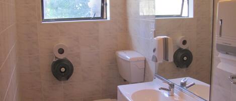 A compact bathroom with a toilet, sink, and mirror.