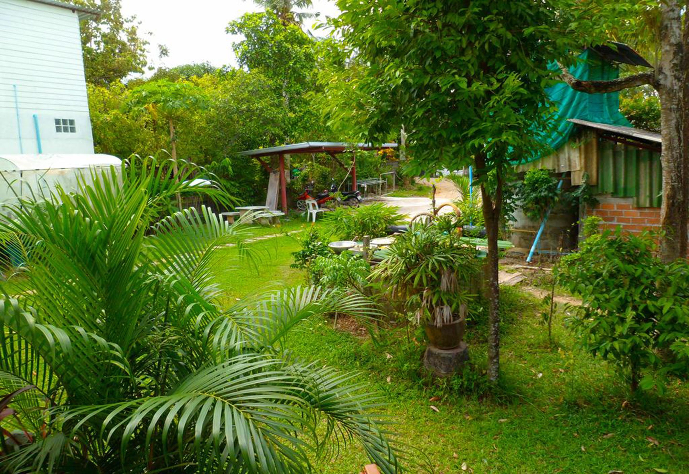 Foto - Bonus Bungalow