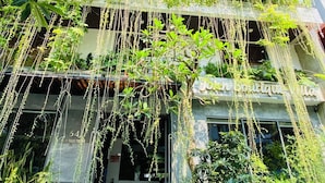 A boutique hotel entrance with hanging plants and a clear view of the interior. -  John Boutique Villa  (Da Nang)