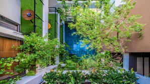 A narrow courtyard with a variety of plants and a blue water feature. -  John Boutique Villa  (Da Nang)