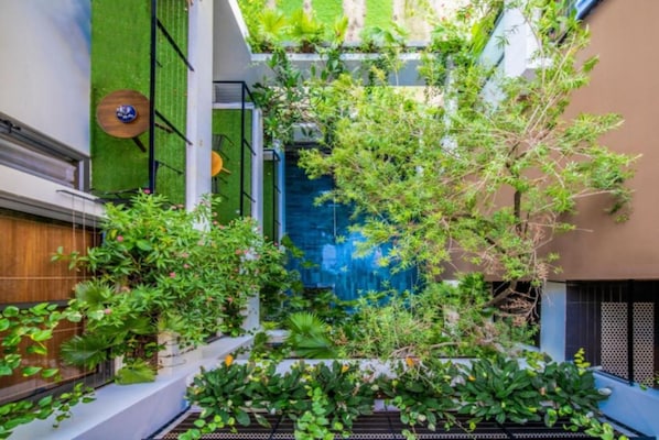 A narrow courtyard with a variety of plants and a blue water feature.