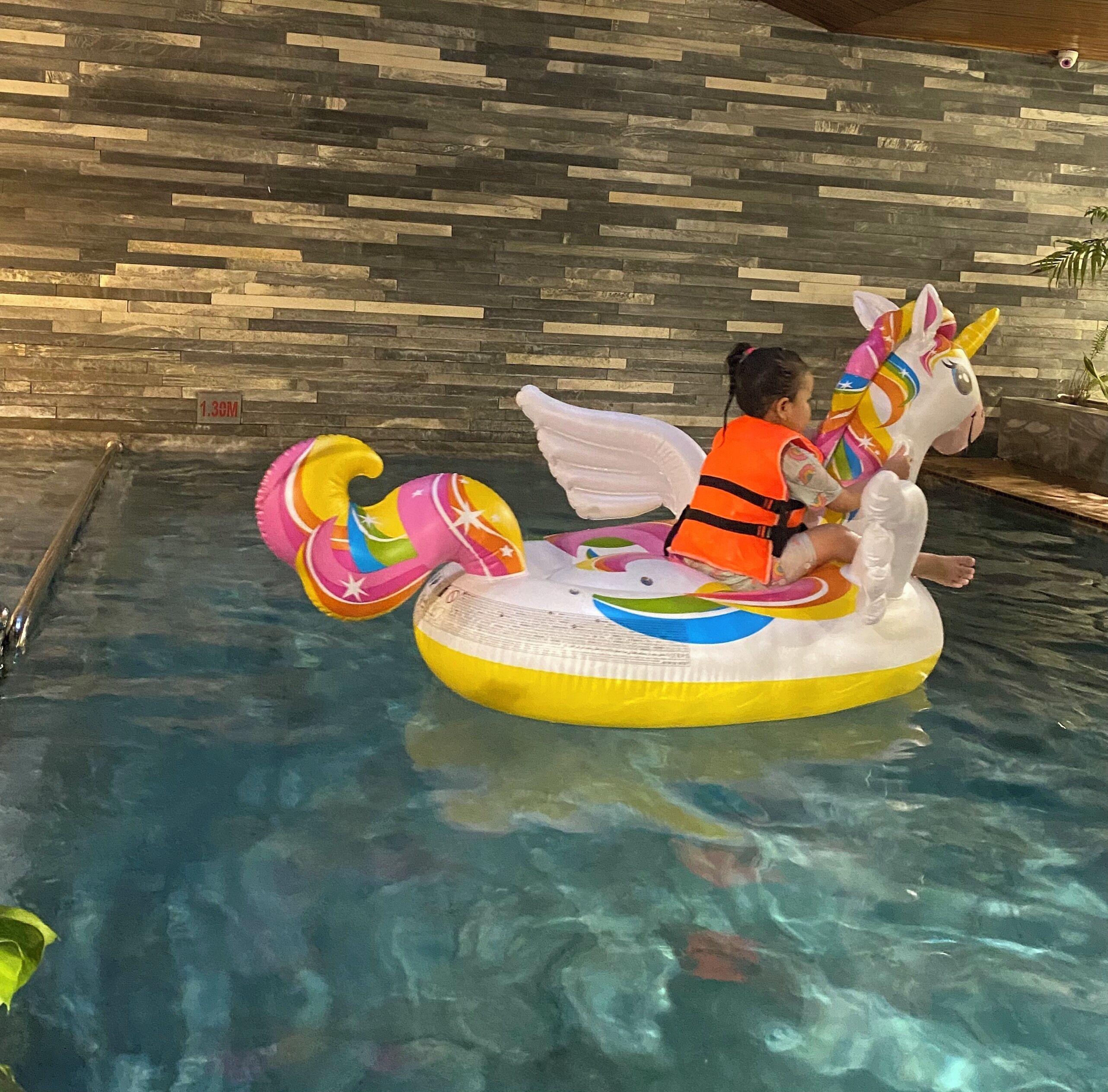 outdoor pool, pool loungers