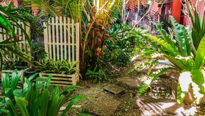 A garden with various plants, a wooden fence, and a pathway. - 2 Home Resort (Chalong)