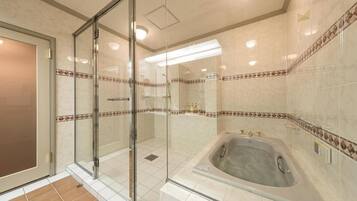 Hair dryer, bidet, towels