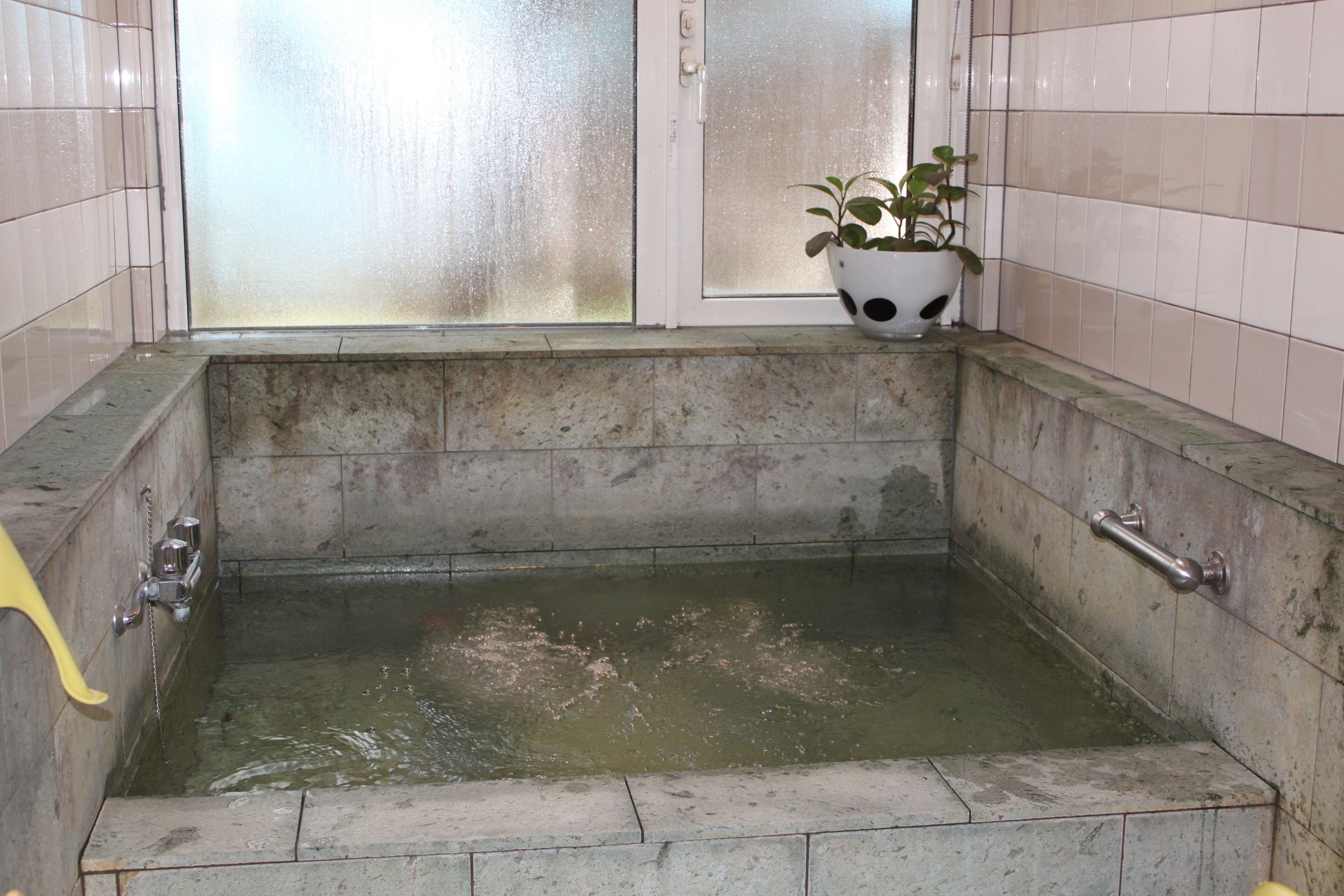 A bathtub with a potted plant on the side.
