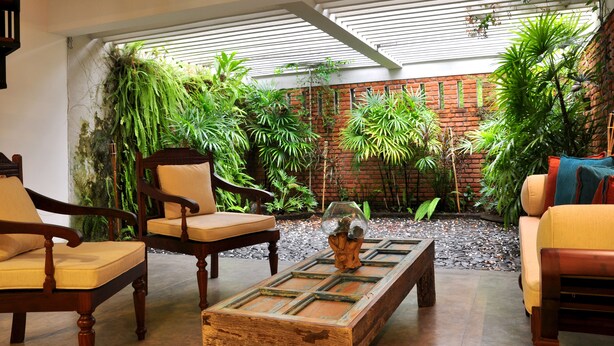 Un espace intérieur accueillant, avec des meubles en bois, une table basse en verre et diverses plantes vertes disposées devant un mur de briques.