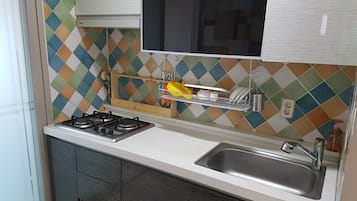 Full-size fridge, microwave, stovetop, rice cooker