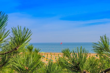 私家海滩、白沙、沙滩椅、海滩遮阳伞