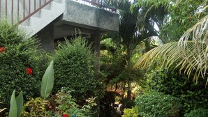 A pathway surrounded by lush greenery and a concrete staircase. - Real Relax Resort & Beauty Massage (Krabi)