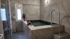 Apartment, 1 Bedroom | Bathroom | Bathtub, spring water bathtub, free toiletries, hair dryer - Basaranlar Thermal Hotel (Ihsaniye)