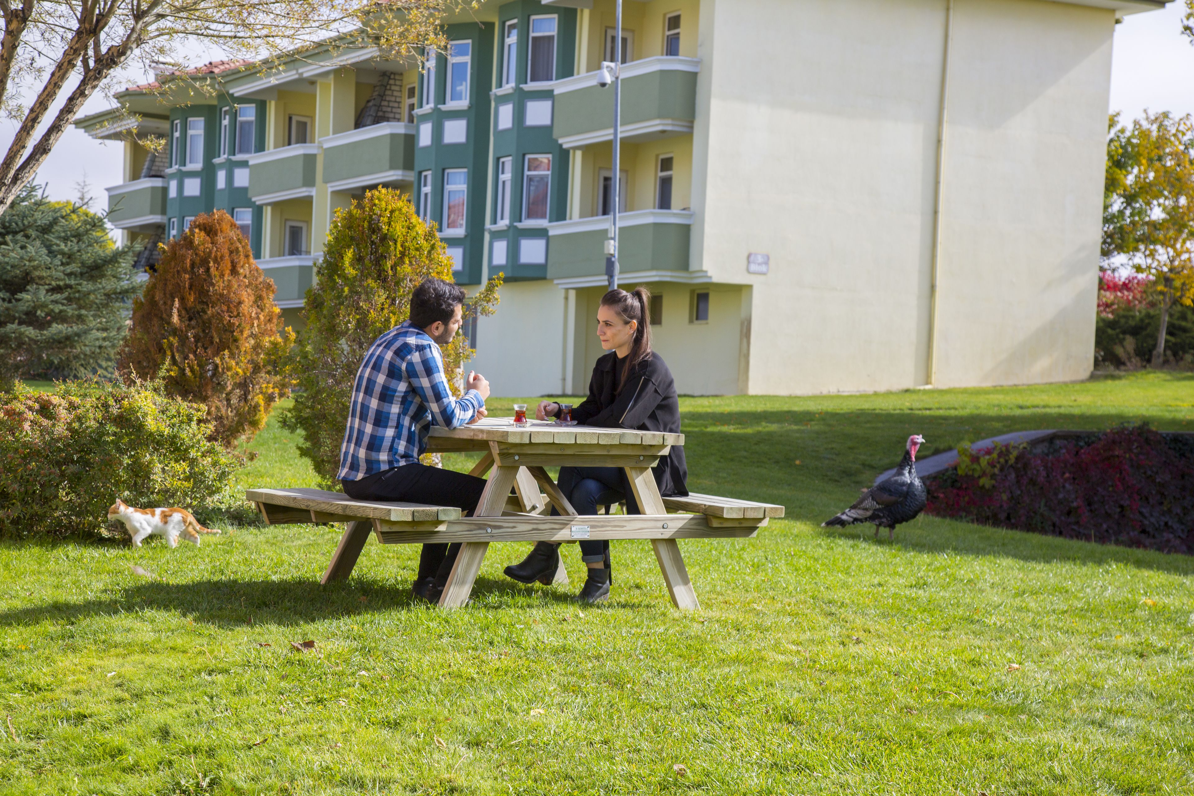 Una mesa de picnic en un área con césped y un edificio al fondo.