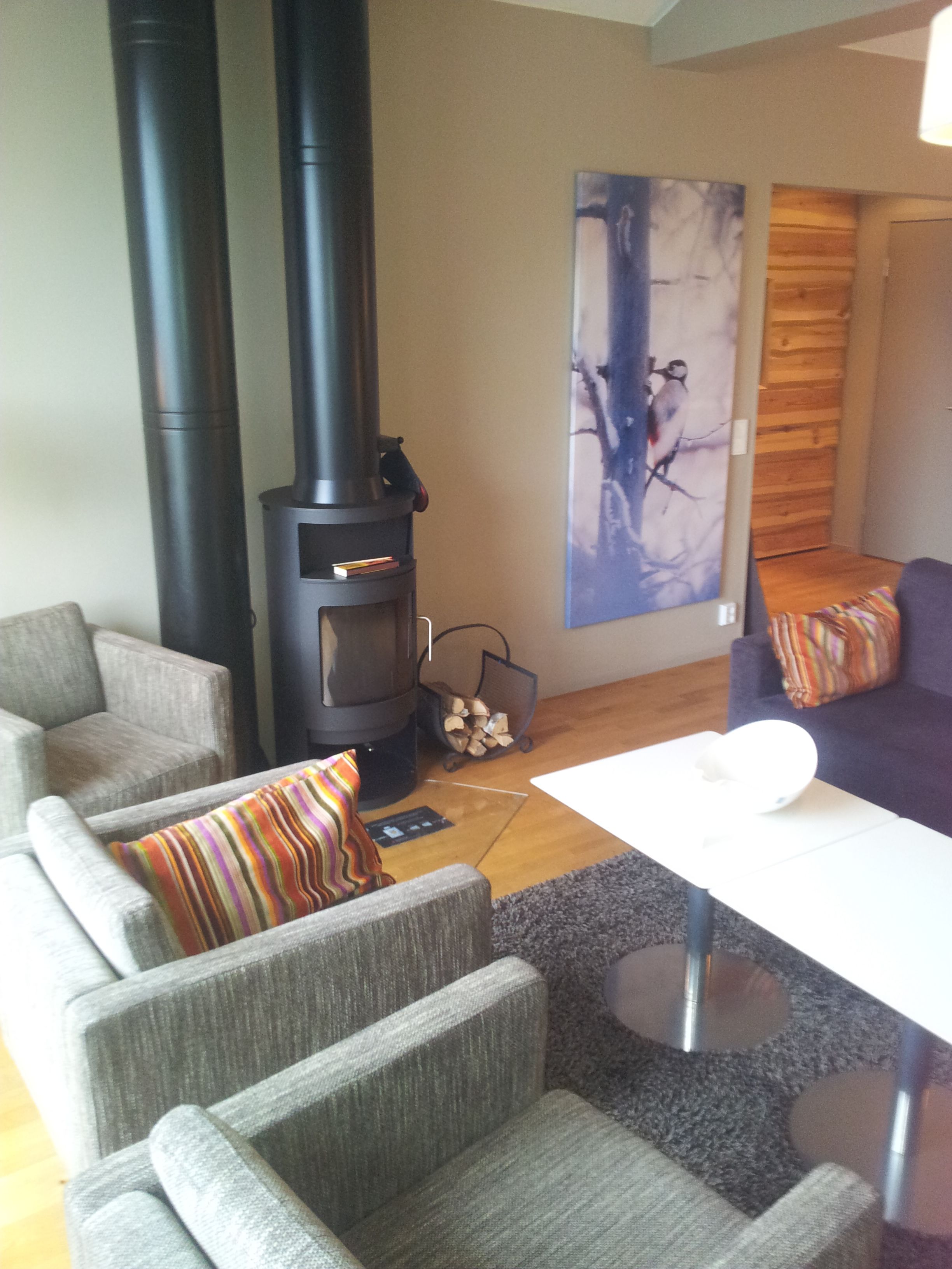 Ein Wohnzimmer mit modernem Kamin, grauen Sofas, einem weißen Couchtisch und einem farbenfrohen Streifen-Kissen.