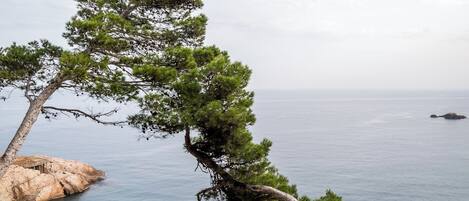 2 piscines extérieures, piscine à débordement, parasols de plage