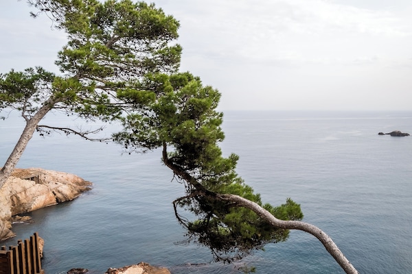 2 albercas al aire libre, alberca infinita y sombrillas en la alberca