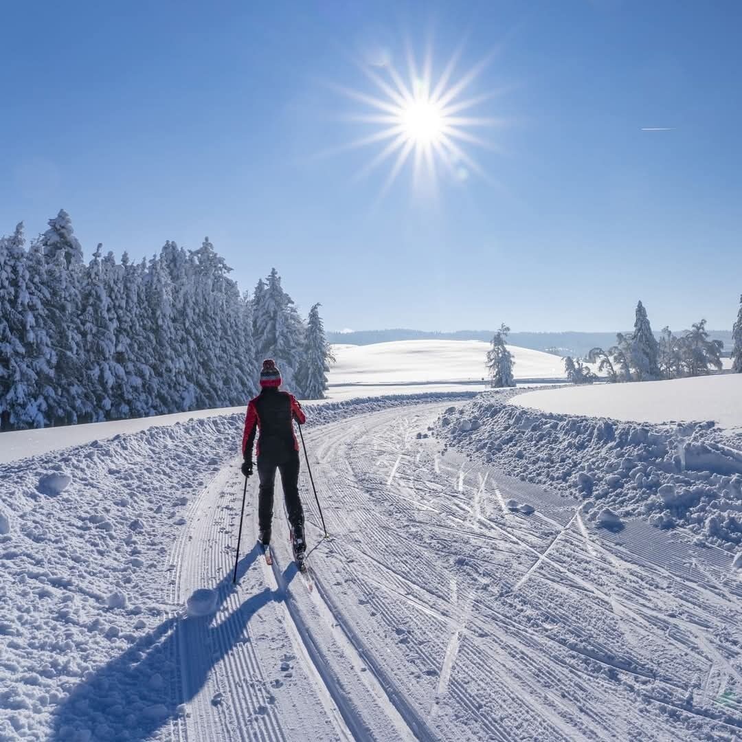 A person cross-country skiing on a snowy path with trees on both sides and a clear sky.