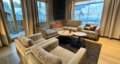 Levi Suites Levi Gold