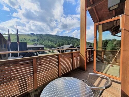 Levi Suites Levi Gold