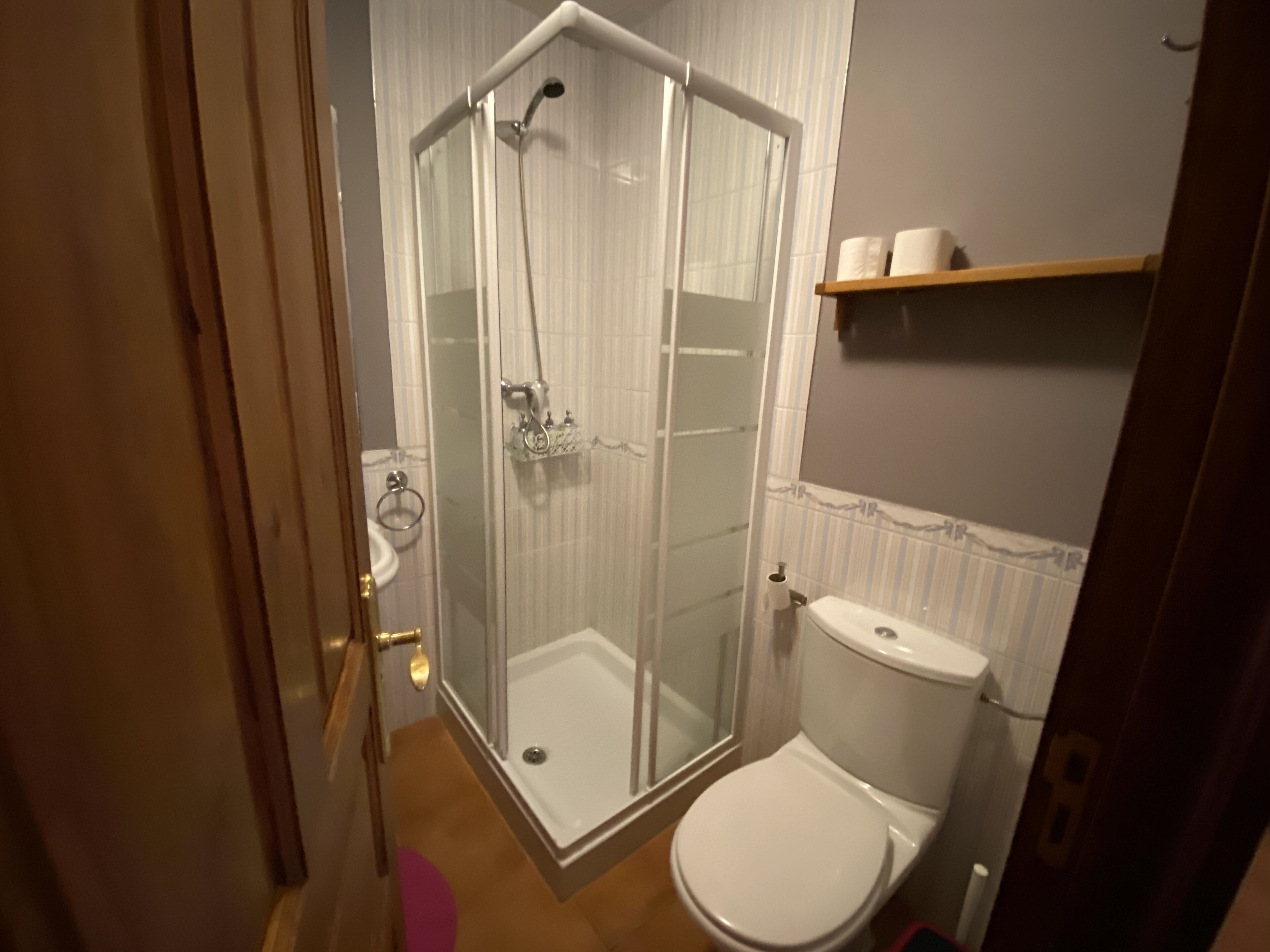 Un baño con ducha de vidrio, inodoro y repisa con papel higiénico.