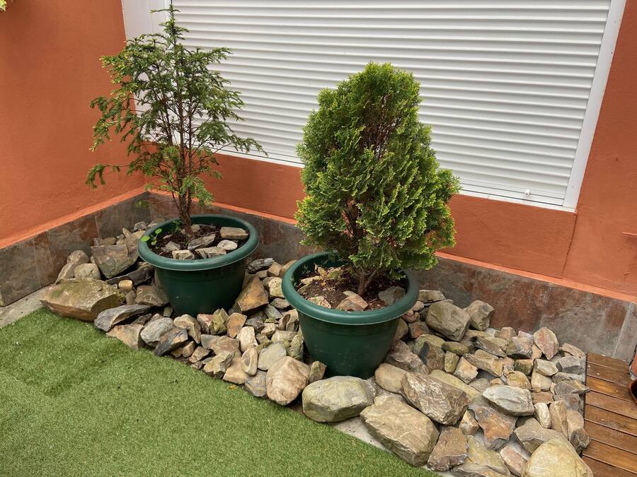 Dos plantas en macetas con piedras y césped artificial en un jardín.
