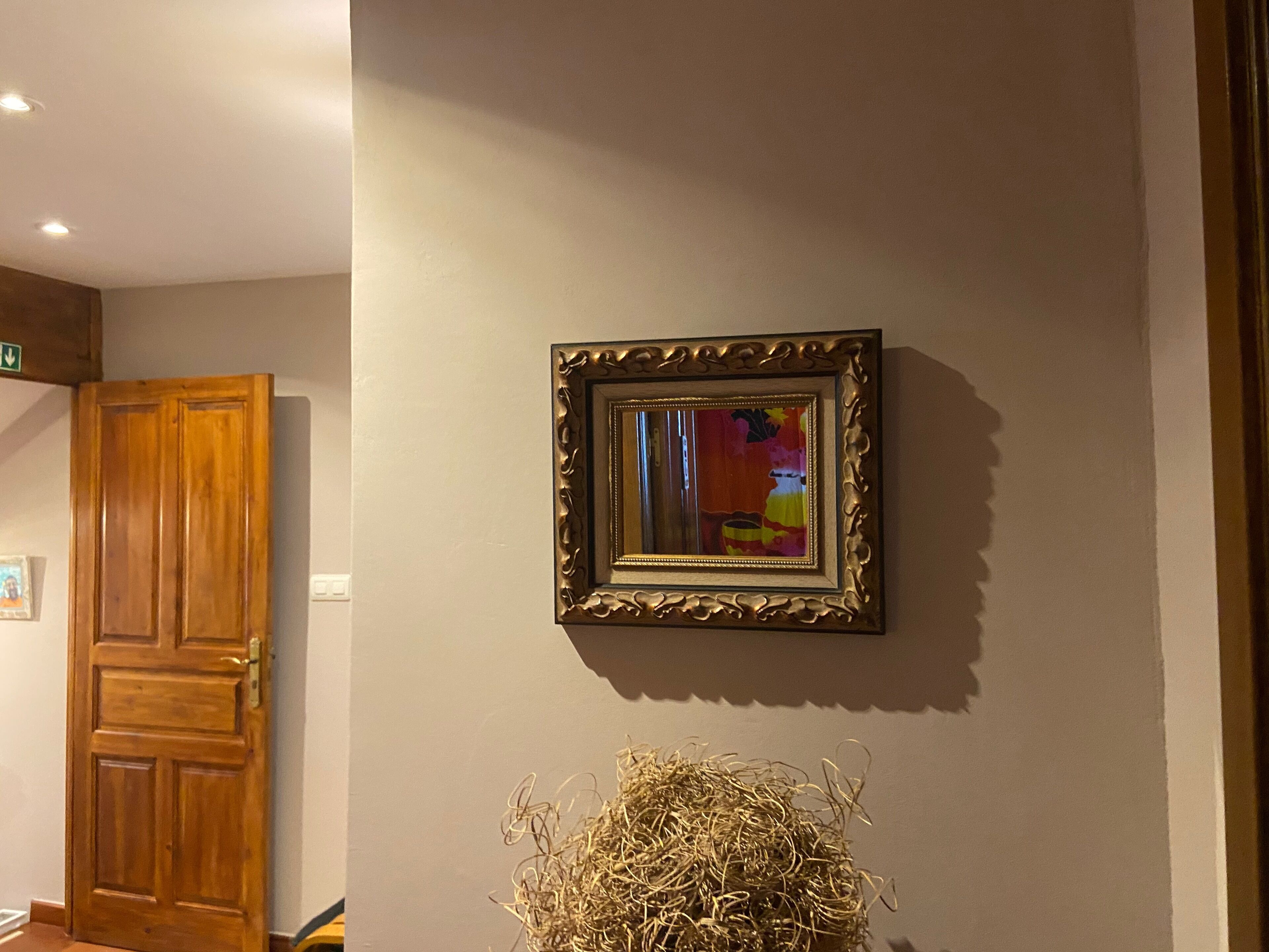 Un passadís amb una porta de fusta, una obra d'art emmarcada i una planta decorativa.