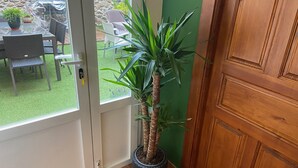 Una planta en maceta cerca de una puerta de vidrio que da a un patio al aire libre con un muro de piedra de fondo.